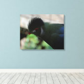 DE GUINEA TURACO INGEPAKTE CANVAS PRINT (Insitu (Houten vloer))