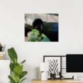 DE GUINEA TURACO POSTER (Thuiskantoor)