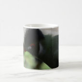 DE GUINEE TURACO KOFEE-MOK MOK (Center)