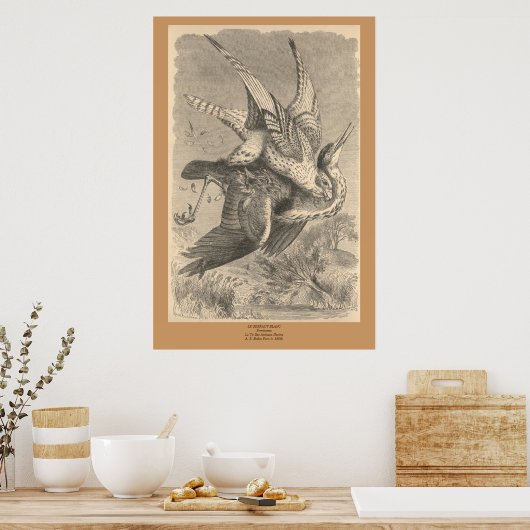 De Gyrfalcon Poster (Keuken)