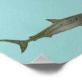 de haai poster (Hoek)