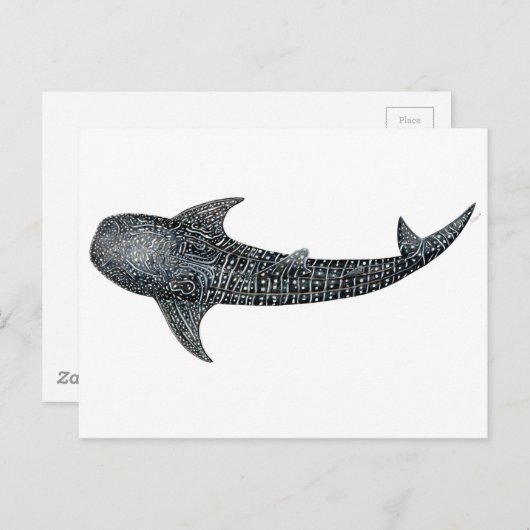 De haai van de walvis briefkaart (Voorkant / Achterkant)