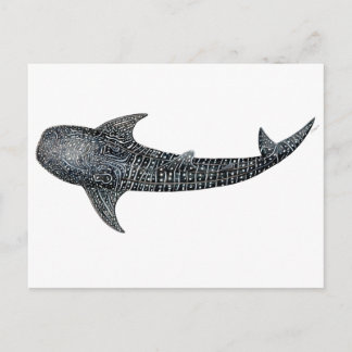 De haai van de walvis briefkaart