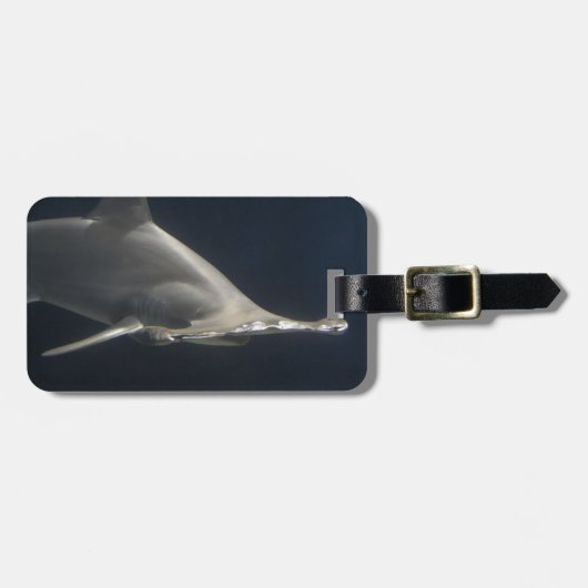 De Haai van Hammerhead Bagagelabel (Voorkant horizontaal)