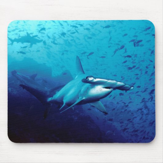 De haai van Hammerhead Muismat (Voorkant)
