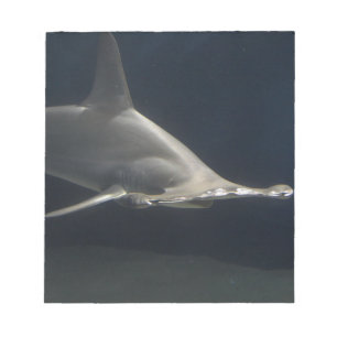 De Haai van Hammerhead Notitieblok