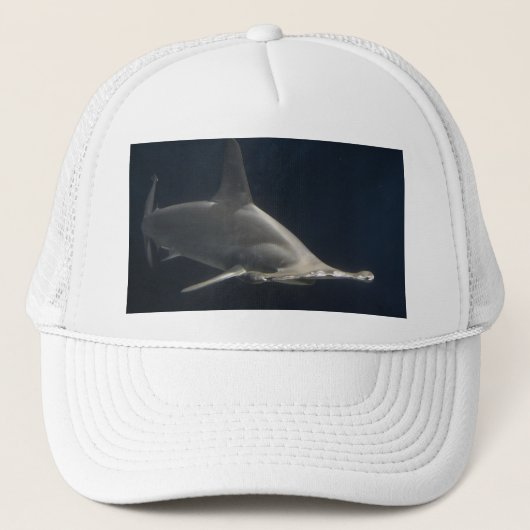 De Haai van Hammerhead Trucker Pet (Voorkant)