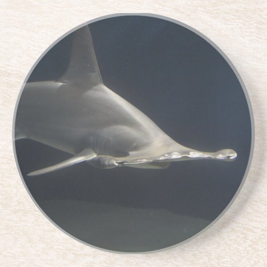 De Haai van Hammerhead Zandsteen Onderzetter (Voorkant)