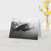 De Haaien Notecard van de walvis Kaart (Gele Bloem)