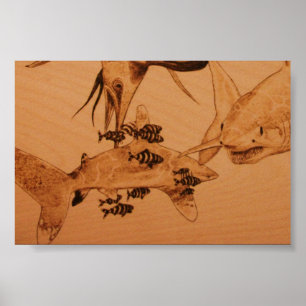 De haaienstier poster