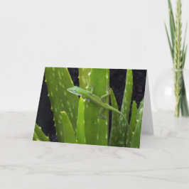 De hagedis van Anole op het plant van het Aloë Kaart
