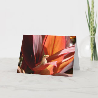 De Hagedis van Kauai Kaart