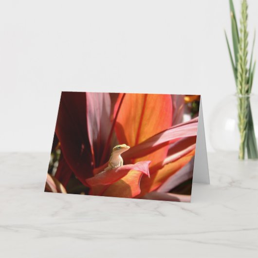 De Hagedis van Kauai Kaart (Voorkant)