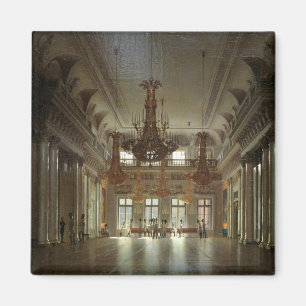 De hal van de veldmoeras in de winter magneet