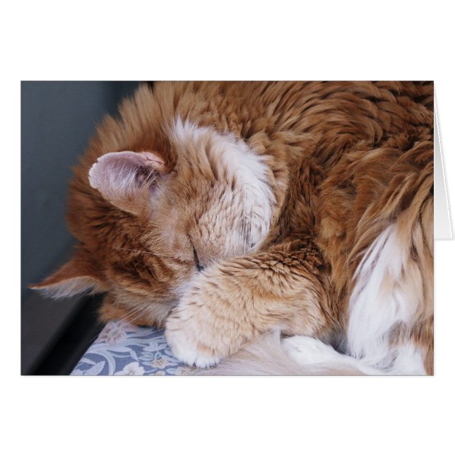 De Halleluiah (Voorkant Horizontaal)