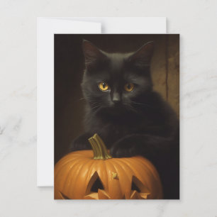 De Halloween Cat Briefkaart