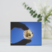 De Hals van Jessups, Long Island Briefkaart (Staand voorkant)