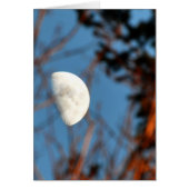 De halve maan door Barren Branches (Voorkant)