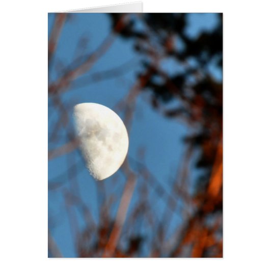 De halve maan door Barren Branches (Voorkant)