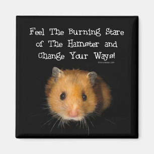De hamster magneet