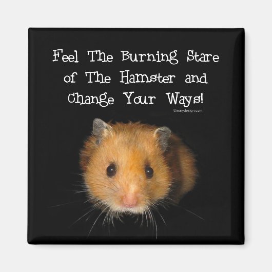 De hamster magneet (Voorkant)