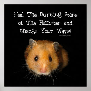 De hamster poster