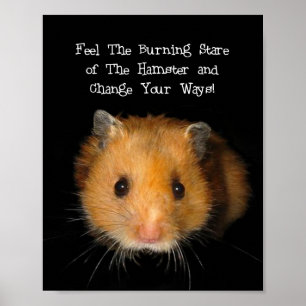 De hamster poster