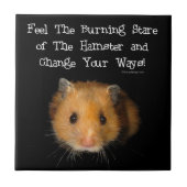 De hamster Stare Tegeltje (Voorkant)