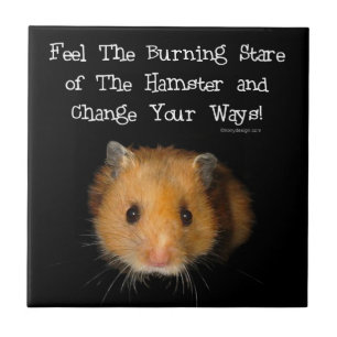 De hamster Stare Tegeltje