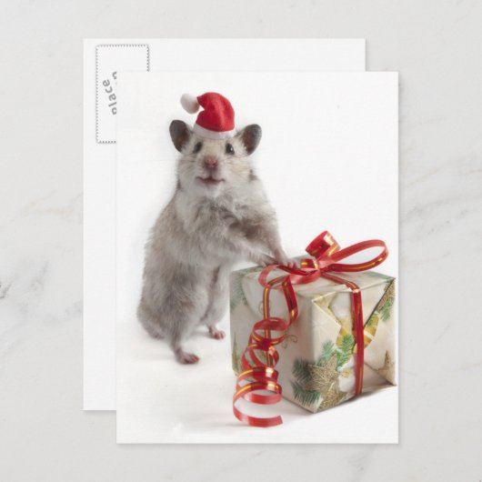 De Hamster van de Kerstman met Gift Feestdagenkaart (Voorkant / Achterkant)