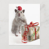 De Hamster van de Kerstman met Gift Feestdagenkaart (Voorkant)