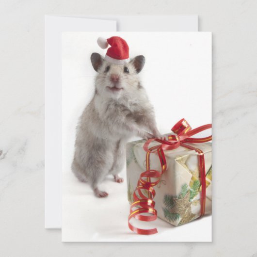 De Hamster van de Kerstman met Gift Feestdagenkaart (Voorkant)