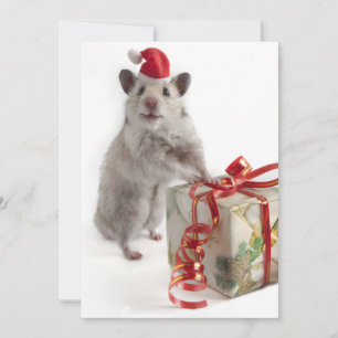 De Hamster van de Kerstman met Gift Feestdagenkaart