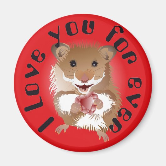 de hamster van mijn kleine vriend Magnet (Voorkant)