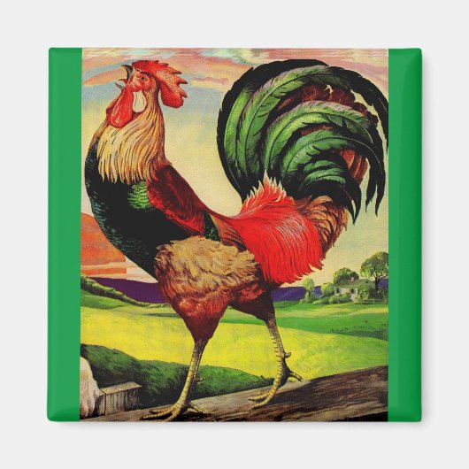 De handige Rooster roteren Magneet (Voorkant)