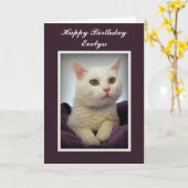De Happy Birthday White Cat Kaart van Evelyn (Gele Bloem)