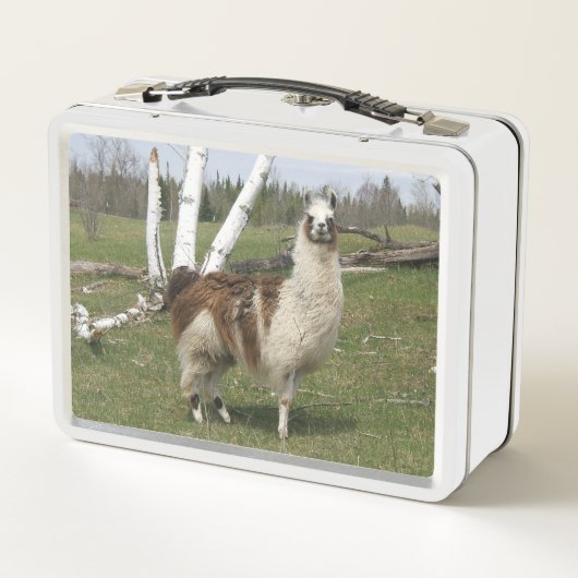 DE HAPPY LLAMA (Achterkant)