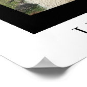 DE HAPPY LLAMA POSTER (Hoek)