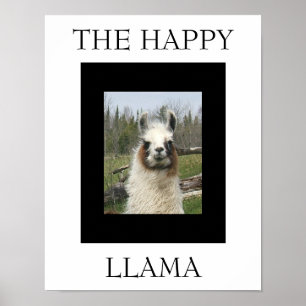 DE HAPPY LLAMA POSTER