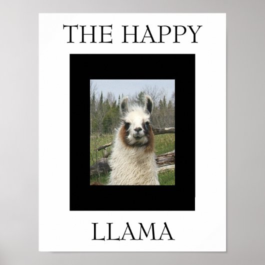 DE HAPPY LLAMA POSTER (Voorkant)