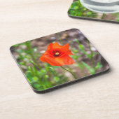 De harde plastic onderzetters van de papaver (Linkerzijde)