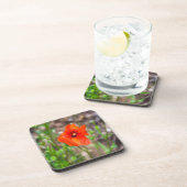 De harde plastic onderzetters van de papaver (Rechterzijde)