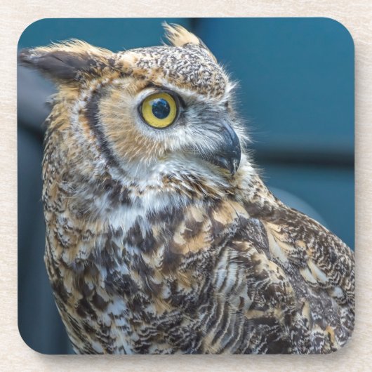 De harde plastic onderzetters van de uil (Voorkant)
