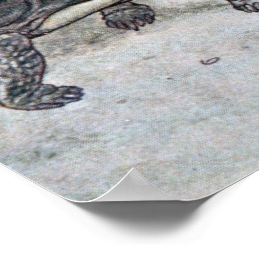 De Hare en de Tortoise Poster (Hoek)