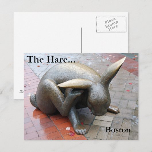 De haren... Briefkaart (Voorkant / Achterkant)