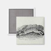 De haren magneet (Voorkant / Achterkant)