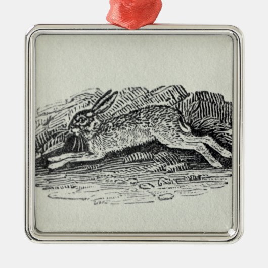 De haren metalen ornament (Voorkant)