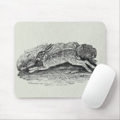 De haren muismat (Met muis)