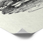 De haren poster (Hoek)