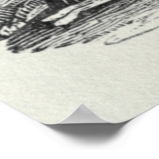 De haren poster (Hoek)